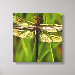 Lienzo Dragonfly Artificial En Marrón Y Amarillo En Verde