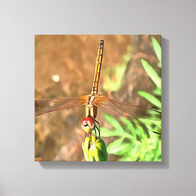 Lienzo Dragonfly artístico descansando sobre la cabeza de (Anverso)