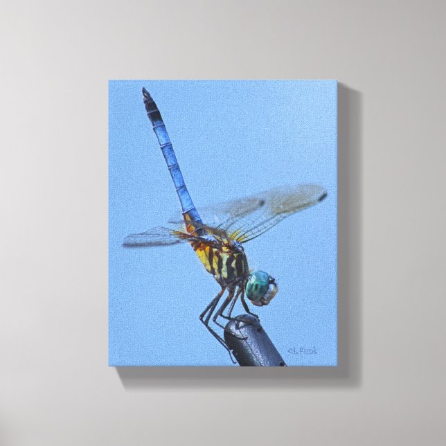 Lienzo Dragonfly del lavaparabrisas azul en "postura Obel (Anverso)