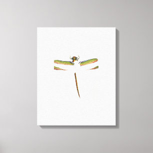 Lienzo Dragonfly en miniatura sobre fondo blanco