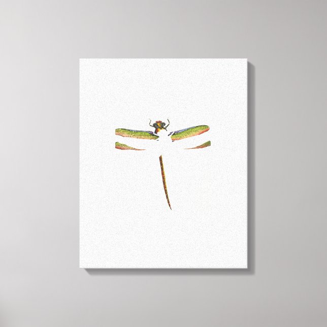 Lienzo Dragonfly en miniatura sobre fondo blanco (Anverso)