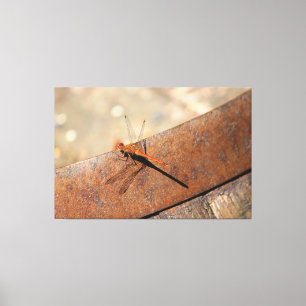 Lienzo Dragonfly mágico