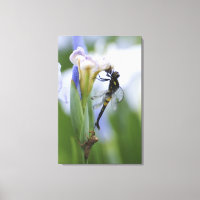 Dragonfly on iris