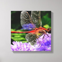 Lienzo Dragonfly rojo sobre las flores violetas moradas