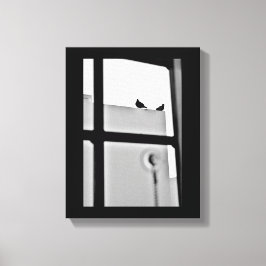 Lienzo Drama de pichón