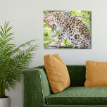 Lienzo Dramatic Wildlife Photograph Leopard<br><div class="desc">I took this photograph of this magnificent leopard at the zoo with my zoom lens from afar and he didn't seem to mind. Fortunately!</div>