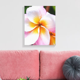 Lienzo Dream Palette: franjipani flower