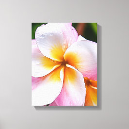 Lienzo Dream Palette: franjipani flower