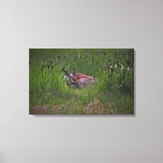 Lienzo Dreamland (Anverso)