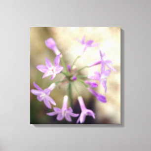 Lienzo Dreamy Flora