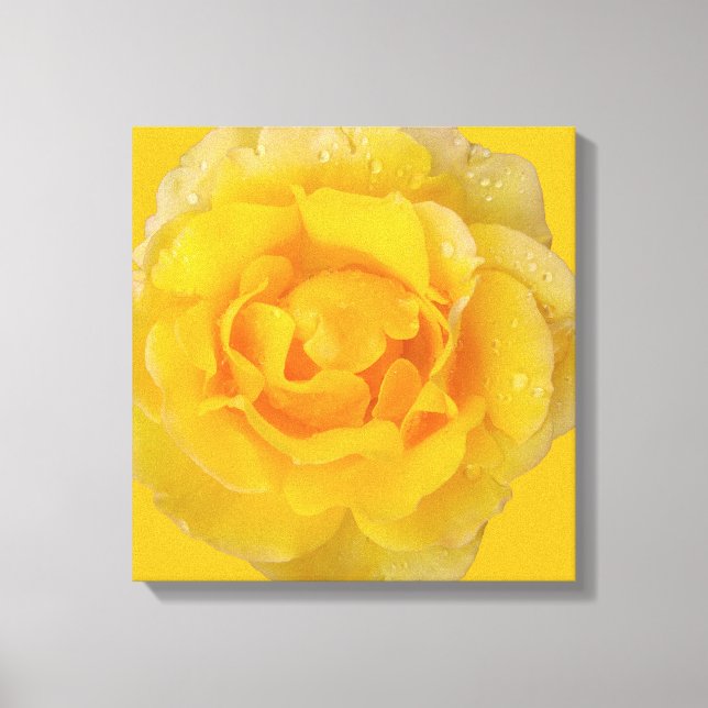 Lienzo Drogas de agua de rosa amarillo romántico (Anverso)