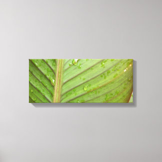 Lienzo Drogas de agua en la foto de la hoja