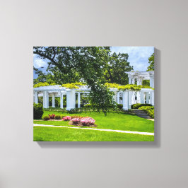 Lienzo DSC00070-2-Arlington House Gardens