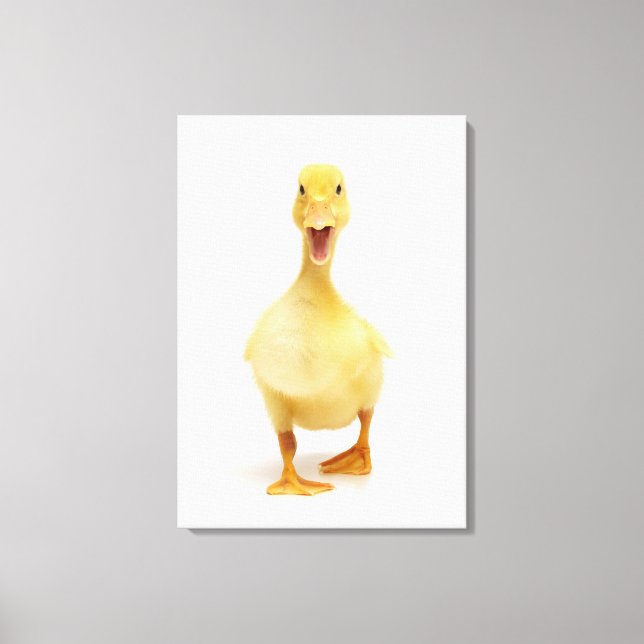Lienzo Duckling (Anverso)