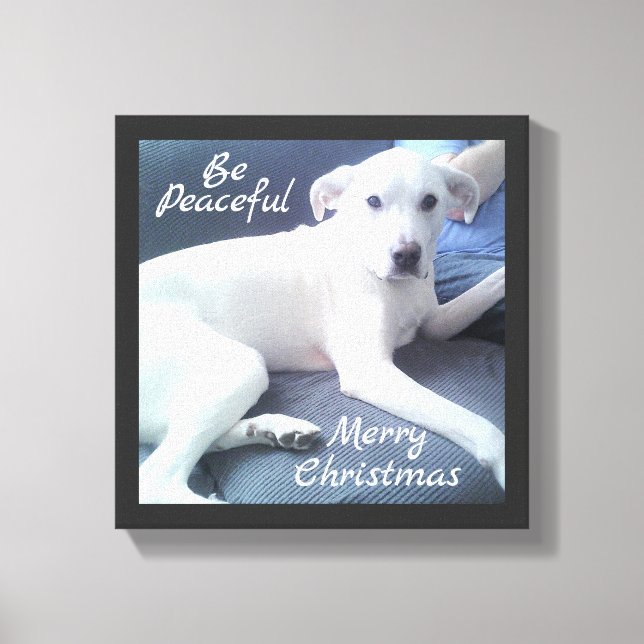 Lienzo Dulce Pacífico Perro Blanco Cuto Sentado Con Papá  (Anverso)