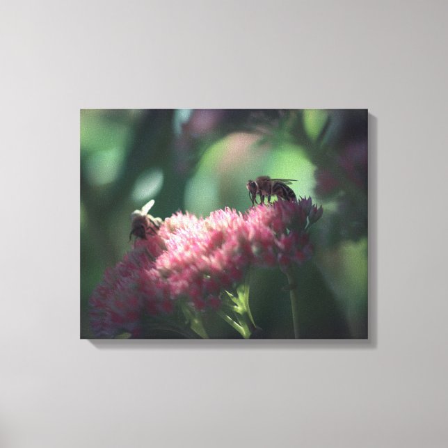 Lienzo Dulces (Anverso)