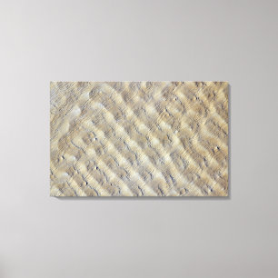 Lienzo Dunas de arena en el ergio de Fachi-Bilma