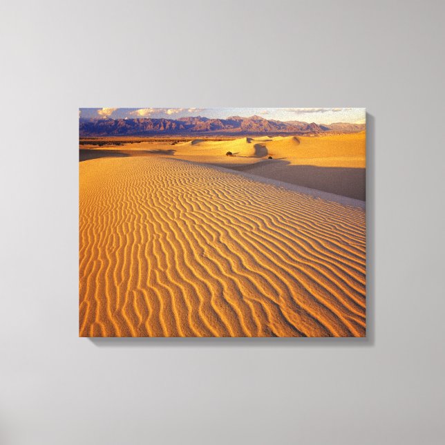 Lienzo Dunas de arena Mesquite Flat en Death Valley (Anverso)