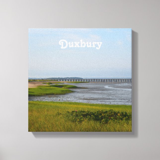 Lienzo Duxbury de punto de polvo (Anverso)
