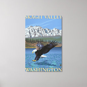 Lienzo Eagle calvo que se zambulle - valle de Skagit,