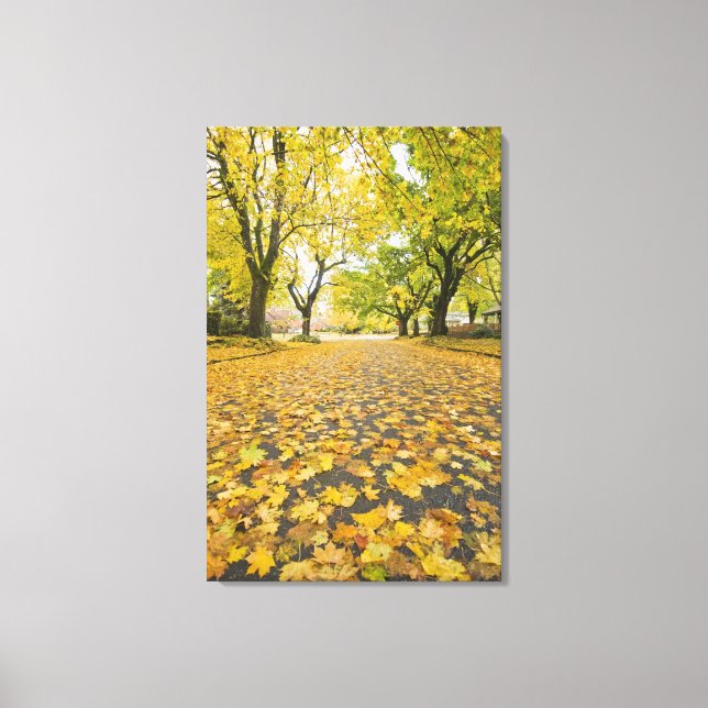 Lienzo Eastmoreland En Autumn Road and tree view (Anverso)