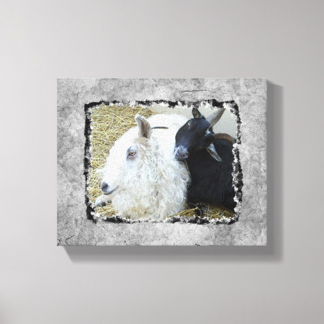 Lienzo Ebony y Ivory Goat Buddies (Anverso)