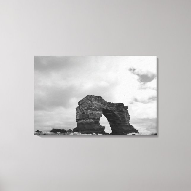 Lienzo Ecuador, Islas Galápagos, Isla Darwin, Waves (Anverso)