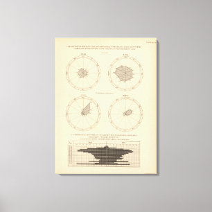 Lienzo Edad avanzada de 119 muertes, enfermedades