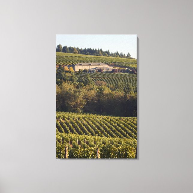 Lienzo Edificio bronceado de Archery Summit se encuentra  (Anverso)