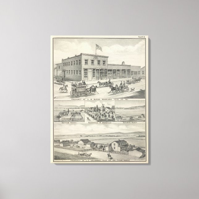 Lienzo Edificio de bosques del condado de Yolo (Anverso)