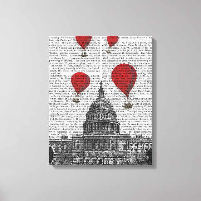 Lienzo Edificio del Capitolio de Estados Unidos y globos  (Anverso)