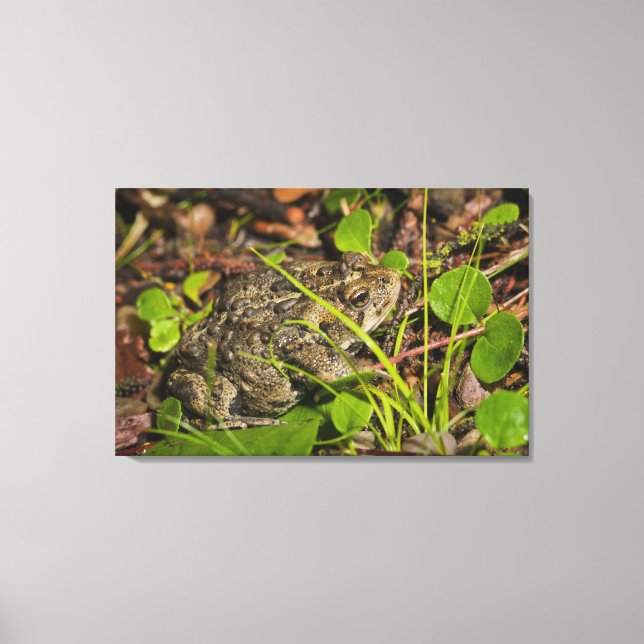 Lienzo edmonton, alberta, canadá (Anverso)