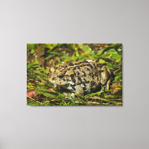 Lienzo edmonton, alberta, canadá 2