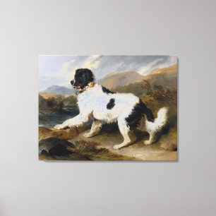 Lienzo Edwin Henry Landseer León, un perro de Terranova