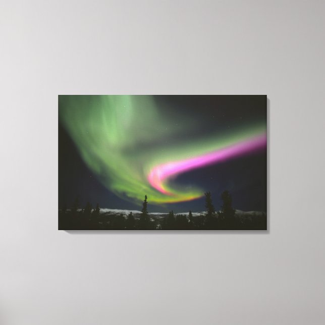 Lienzo EE. UU., Alaska, Chena Hot Springs. Aurora 2 (Anverso)