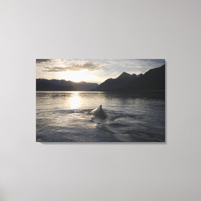 Lienzo EE. UU., Alaska, Parque Nacional Glacier Bay, (Anverso)