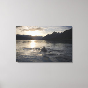 Lienzo EE. UU., Alaska, Parque Nacional Glacier Bay,