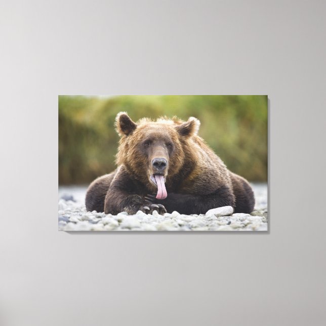 Lienzo EE. UU., Alaska, Parque Nacional Katmai, Bahía Kuk (Anverso)
