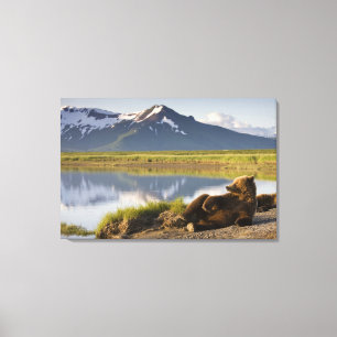 Lienzo EE. UU., Alaska, Parque Nacional Katmai, Osos pard