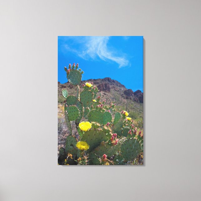 Lienzo EE. UU., Arizona. Cactus en las colinas (Anverso)