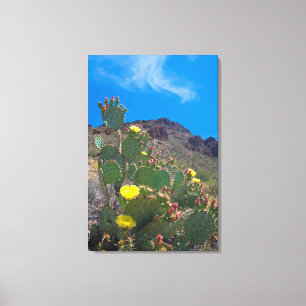 Lienzo EE. UU., Arizona. Cactus en las colinas