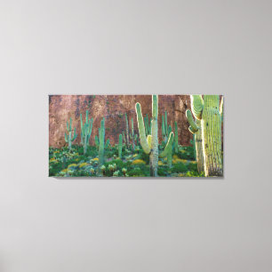 Lienzo EE. UU., Arizona. Campo de cactus saguaro junto a