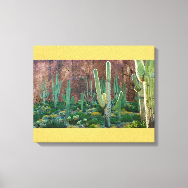 Lienzo EE. UU., Arizona. Campo de cactus saguaro junto a  (Anverso)