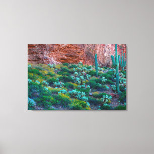 Lienzo EE. UU., Arizona. Flora del desierto