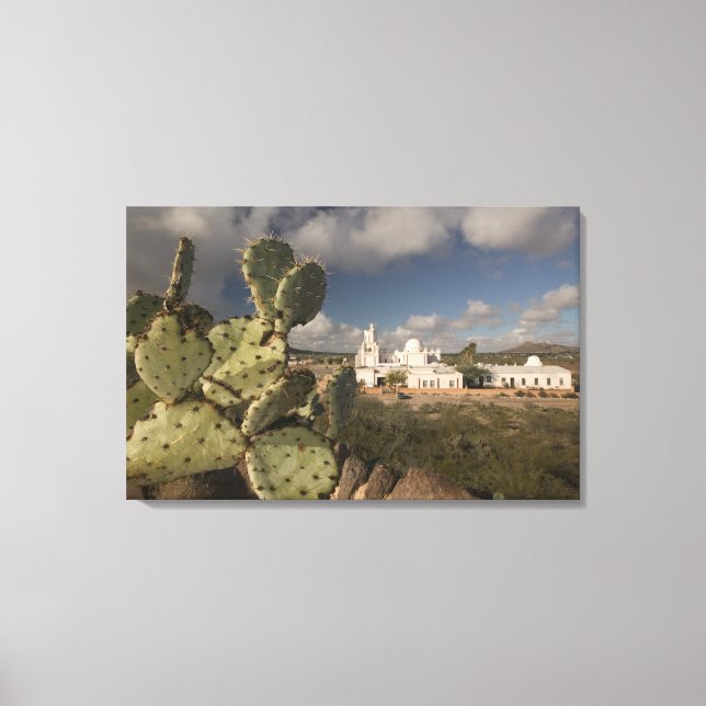 Lienzo EE. UU., Arizona, Tucson: Misión San Xavier del Ba (Anverso)