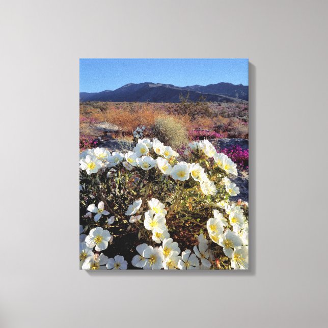 Lienzo EE. UU., California, Anza-Borrego DSP. Duna atarde (Anverso)
