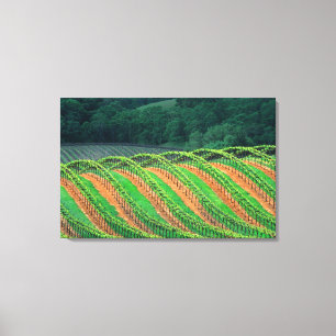 Lienzo EE.UU., California, condado de Mendocino, un hospi