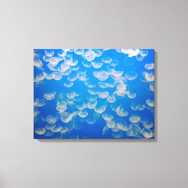 Lienzo EE.UU., California. Jellyfish En La Bahía De Monte (Anverso)