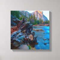 EE.UU., California. Raíces De Árbol En Río Merced