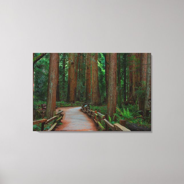 Lienzo EE.UU., California. Ruta entre secuoyas en Muir (Anverso)